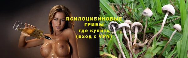 сатива Протвино