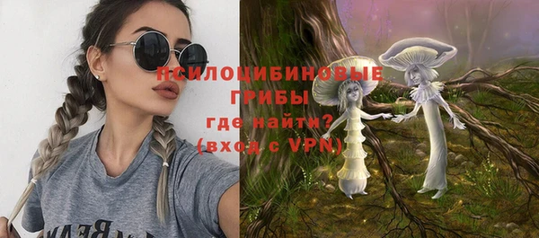 сатива Протвино