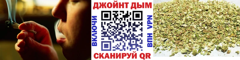 дарнет шоп Наволоки Бошки марихуана сатива